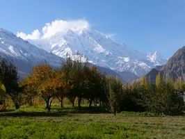 View of Rakaposhi 7788M with green orchard from ALiabad-Hunza